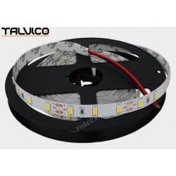 Taśma 5630/300 LED Talvico biała neutralna 5m, DC 12V, TC-NW60-5630/IP20