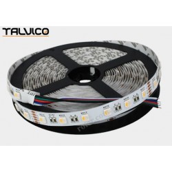 Taśma 300 LED WRGB (biała zimna) Talvico 5m, SMD5050, DC 24V TC-WRGB60-5050/IP20