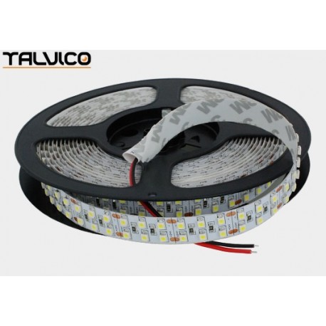 Taśma 3528/1200 LED Talvico biała zimna 5m, DC 24V, TC-W240-3528-24/IP20