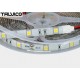 Taśma 5050/150 LED Talvico biała neutralna 5m, DC 12V, TC-NW30-5050/IP65