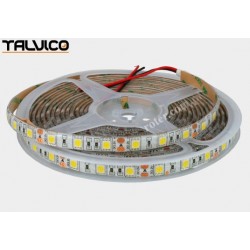 Taśma 5050/300 LED Talvico biała neutralna 5m, DC 12V, TC-NW60-5010-3/IP65