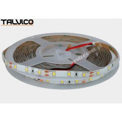 Taśma 3528/300 LED Talvico biała neutralna 5m, DC 12V, 4.8W/m TC-NW60-5008/IP20